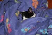 /album/austria-blog/katzennest-vollmond-013-jpg/